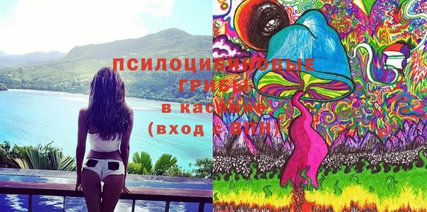 МДПВ Богородицк
