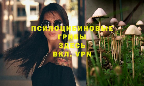 MDMA Premium VHQ Бородино