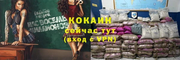 гашик Богданович