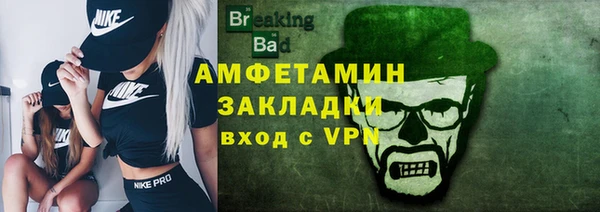 гашик Богданович
