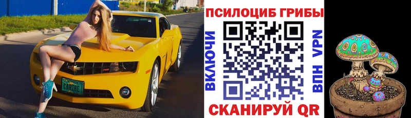 Галлюциногенные грибы Cubensis  Обь 