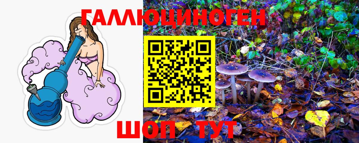 Галлюциногенные грибы прущие грибы Обь