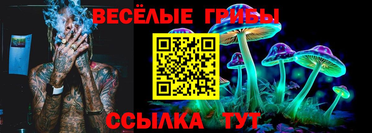 Галлюциногенные грибы MAGIC MUSHROOMS Обь