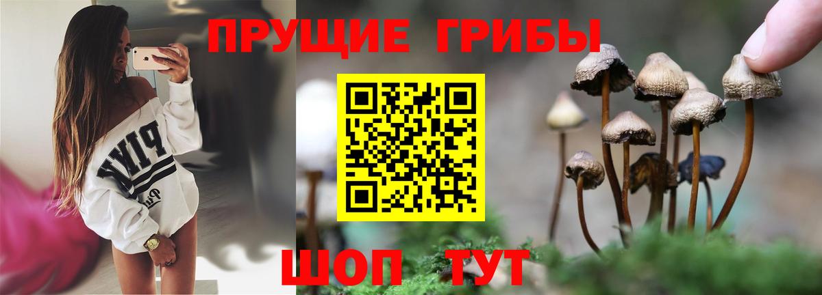 Псилоцибиновые грибы Psilocybe  Вход с VPN  Обь 