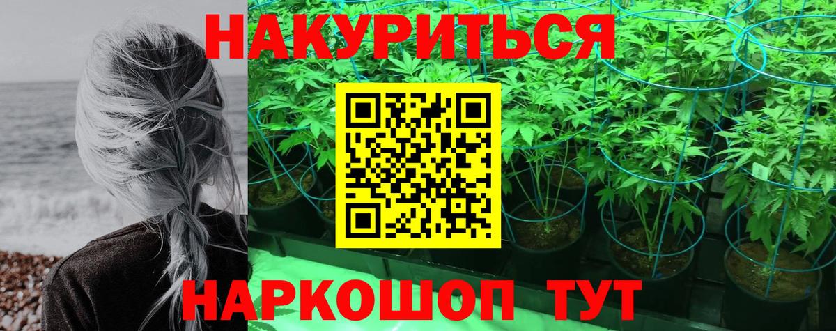 Каннабис конопля Обь